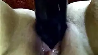 ضفائر وثدي كبير: مص قضيب بجانب المسبح