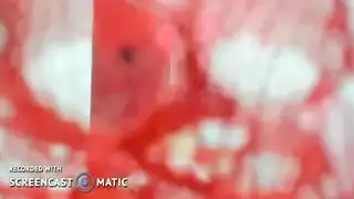 نبك الام هدية عيد ميلادها مترجم عربي