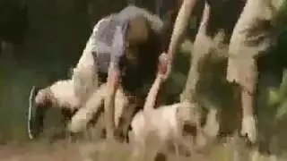 خشب الأبنوس الهواة طعام هاواي