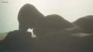 ترجمة عربية كاملة لعشاق العرب