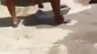 دكتور امراض نساء مسرح طين