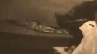 حركة إيلاج مزدوج مجنونة باستخدام قضبان اصطناعية ضخمة