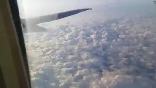 سكس طائرة: عاهرة إيطالية تخدم زب كبير بفمها وفرجها