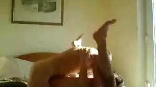 حصان ضخم وفتاة محلوقة في فيلم إباحي عنيف