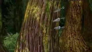 أفلام إباحية مصرية قديمة: كلاسيكيات السكس الصريح