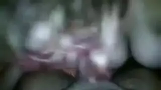 نيك جزائري لعاصمة