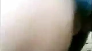 حصانان داكنان في حركة سكس حيوانات جامحة