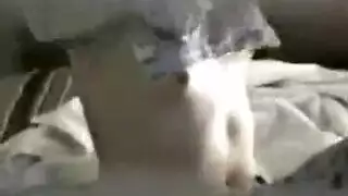 اجمد مكتع سكس مترجم