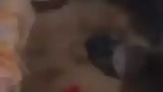 فضحية علنية: فيلم إباحي لريما بوضعية الكلب يصوره معجب