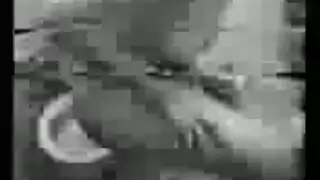 حبيبات عربيات في فعل صريح بين الإناث