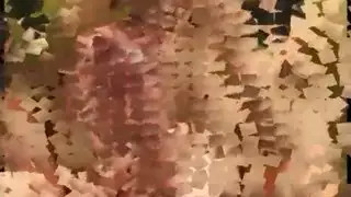 ممثلة إباحية تطلب إنهاءً فوضويّاً على وجهها