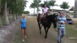 في الطريق السريع