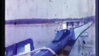 اراسود،سمسن،نيك