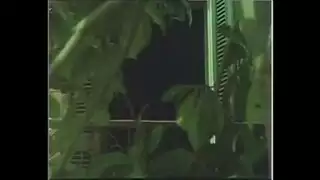 من قطع سكس تركي قديم