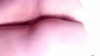 مغر بي اصلى