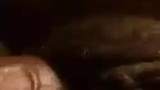 الحسناء النائمة فرصة عمل