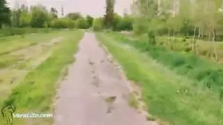 يله حبيبي تره هنا واصلات