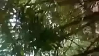 الانتقال من الأصابع إلى القضيب في كسها المصري المبلل