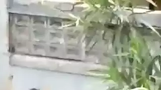 خيال الجنس المزدوج: سمراء بالفساتين تأخذ قضيبين أسودين كبيرين