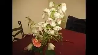 خادمه تمص وتتناك