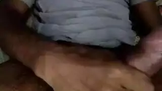 مخنث استراحة الربيع الأسترالي