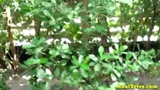 نیک حلوین صغار مترجم