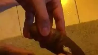 جنس فموي مع شباب التمويل