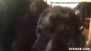بدويه اخو زوجي بلعب معي بفراش من دون نيك